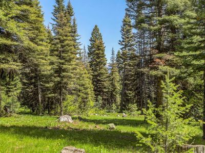 Bear Basin Rd, McCall, ID, 83638