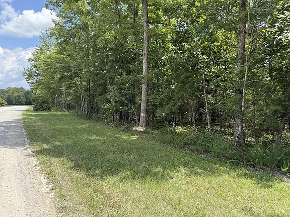 2nd image of 0 Long Branch Rd Lot 180B
