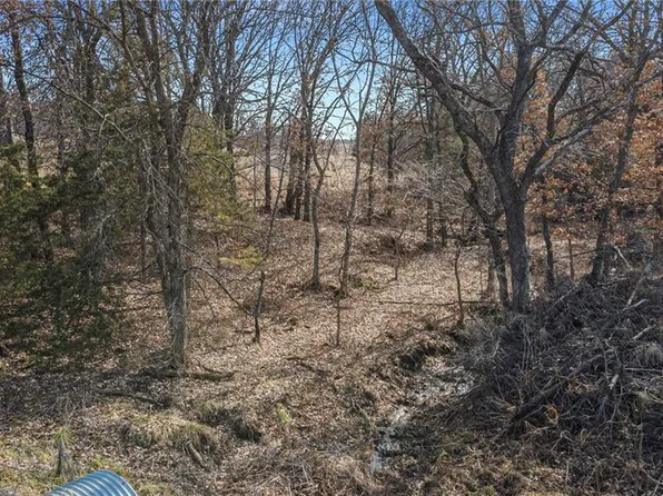 LOT 1 SE 226th St, Lawson, MO 64062