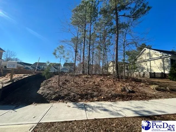 736 Long Pointe Ln, Columbia, SC 29229