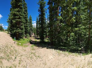 714 Silverheels Pl, Fairplay, CO 80440