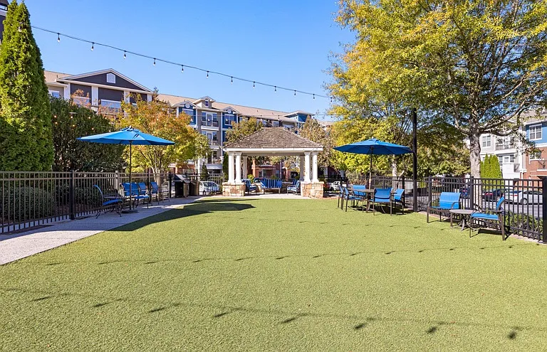 Park at Johns Creek 55+ Active Adult Living — Photo 35