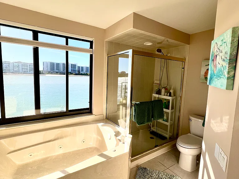 Master bathroom. Look at that view.