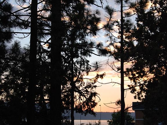4th image of 286 Eagle Dr