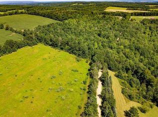 7803 Freeman Hollow Rd, Bath, NY 14810