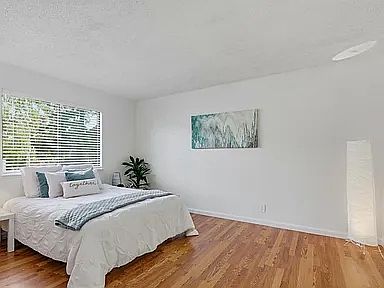 5th image of 704 Cassaday Ct