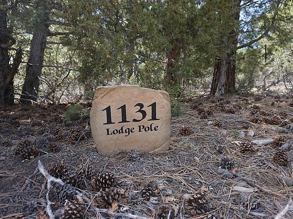 3rd image of 1131 Lodge Pole Drive