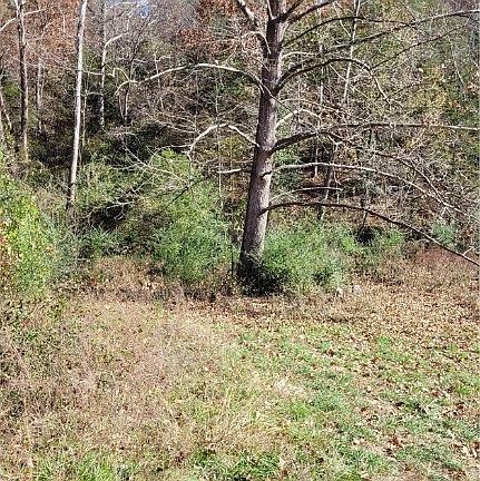 2nd image of 242 County Road 3011