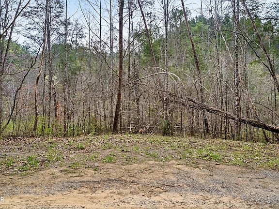 4th image of 121 Creek Hollow Way Lot 121