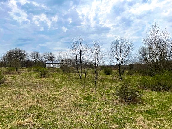 4th image of Forest Shores Dr #36