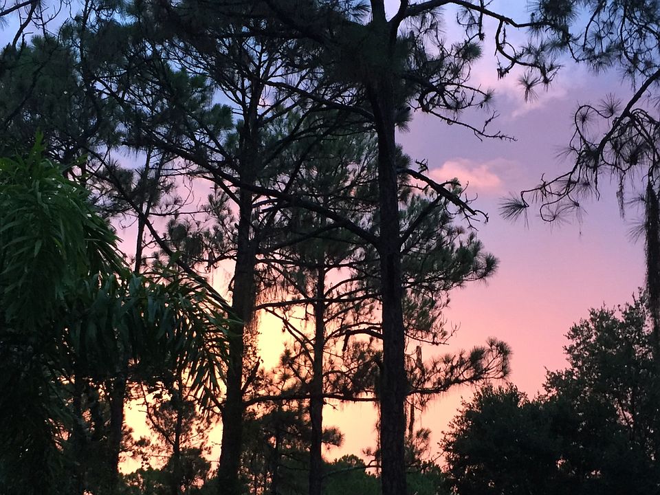 Enjoy FL sunsets!!