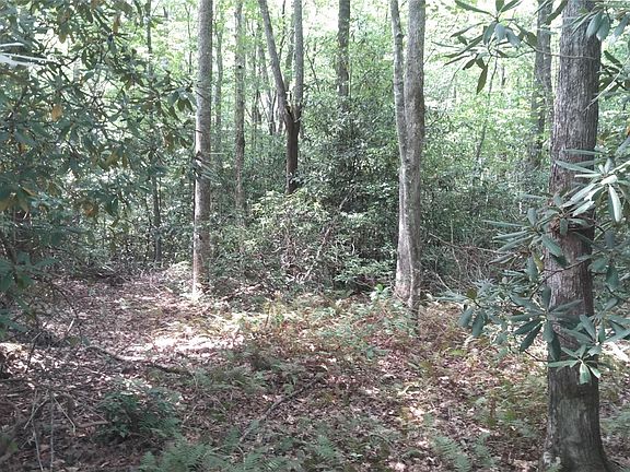 3rd image of Lots 16 17 Chandler Dr