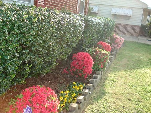 Front flower bed