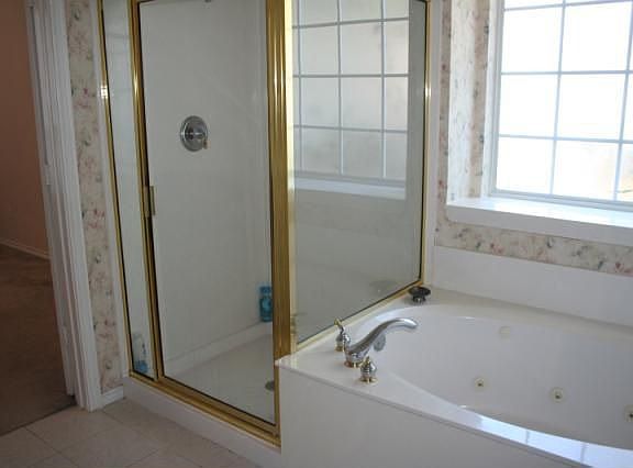 Shower and Jacuzzi tub