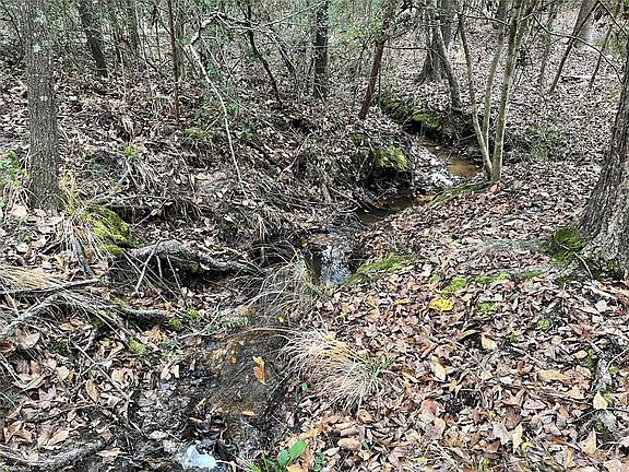 4th image of 120 F County Road 421 E