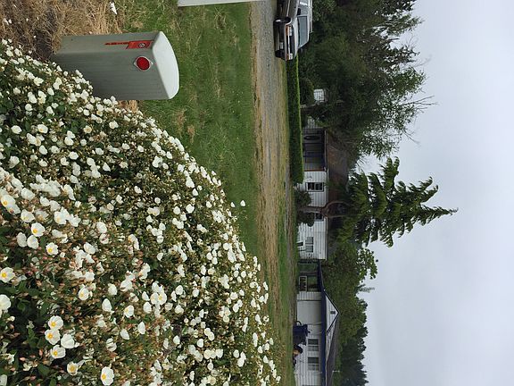 3rd image of 3740 E College Way