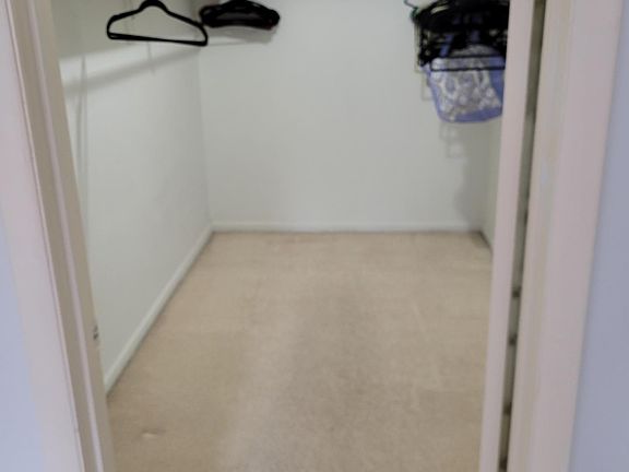 Master walk in closet
