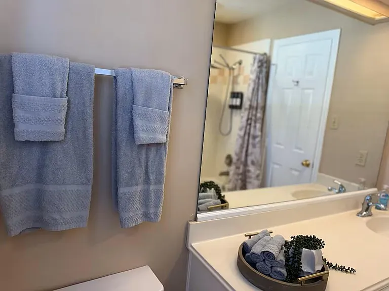3310 Bluebonnet Meadows Ln — Photo 18