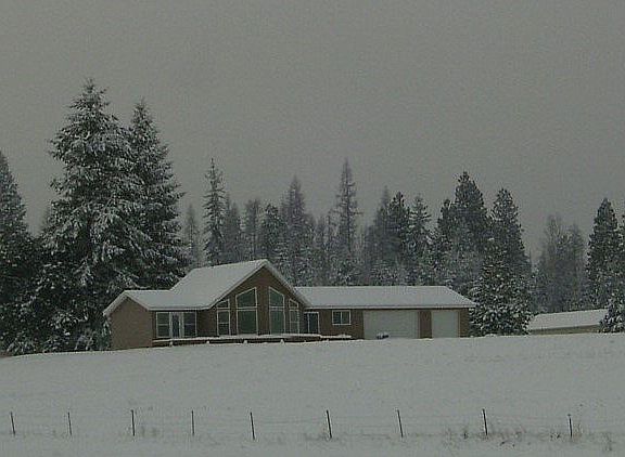 Winter Wonderland