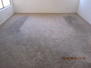 3rd image of 3729 N 127th Dr