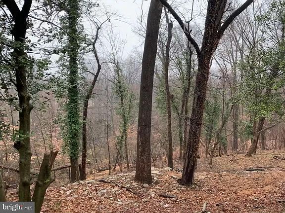 2nd image of 3214 Gumwood Dr