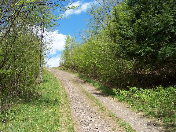 3rd image of 9138 County Highway 67