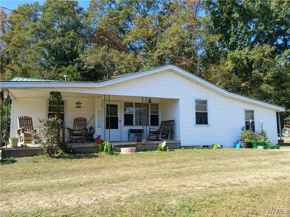 559 Beech Tree Rd, Vernon, AL 35592