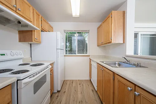 Floor plan One Bedroom Efficiency