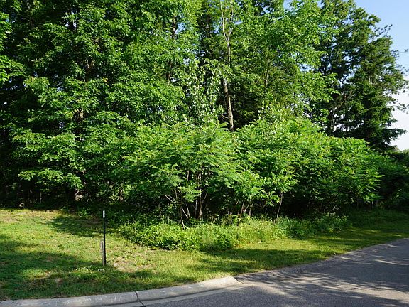 3rd image of 2222 Shelter Pointe Dr