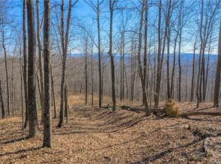0 Pinnacle Mountain Rd #1, Zirconia, NC 28790