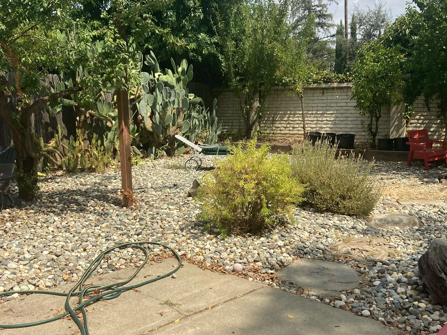 3 bed, $2,500 — Photo 3