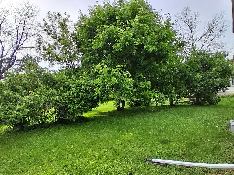 503 Mound St — Photo 18