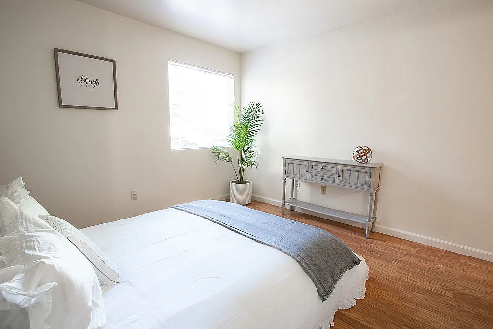 Walnut Apartments — Photo 4