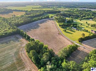 LOT 1 Windham Town Rd, Lamar, SC 29069