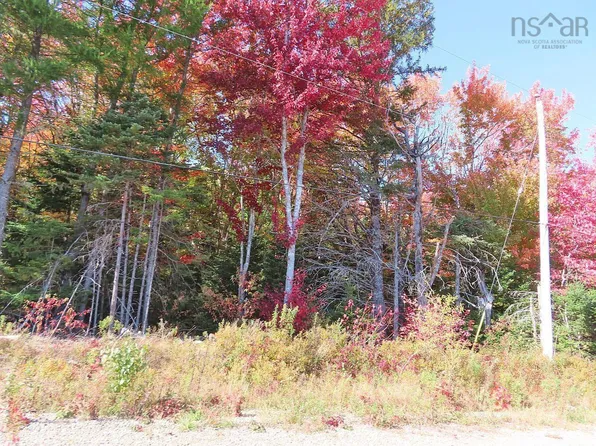 W Side Road West Side Country, Harbour, NS B0H 1J0