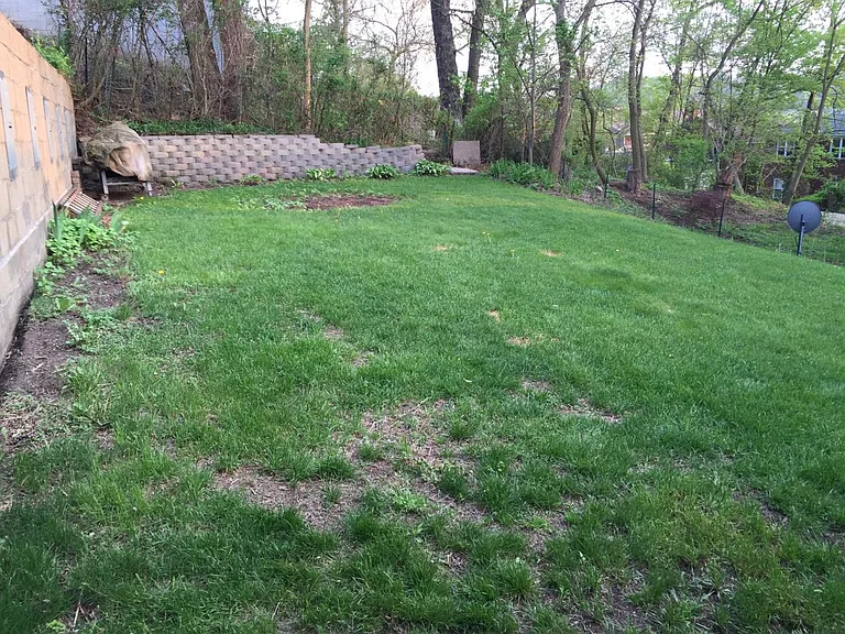 210 Marion Ave — Photo 24