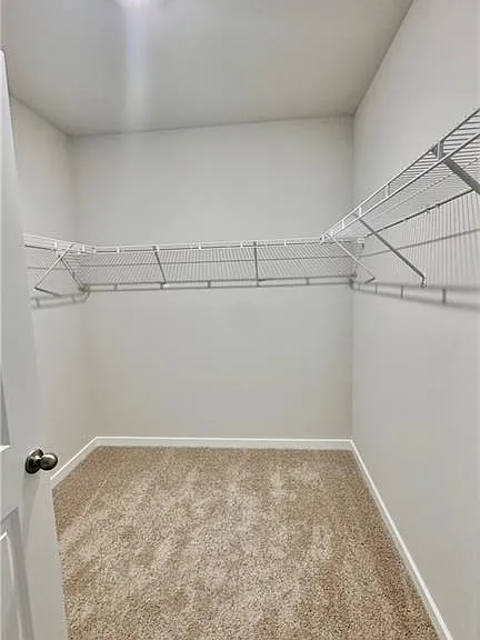 17710 Shade Tree Loop — Photo 14