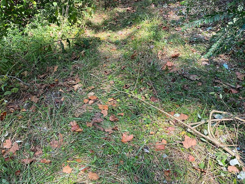 2nd image of LOT Five County Rd #70