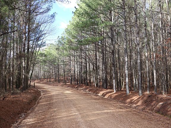 2nd image of County Road 4171 Lot Wp001