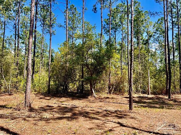 5th image of LOT 75 Naturewalk Dr