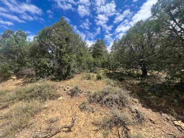 336 Rock Point Place, Pagosa Springs, CO 81147