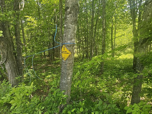 2nd image of 285 Retreat Road
