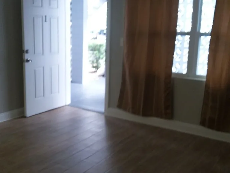 1710 S Washington Ave #1 — Photo 3