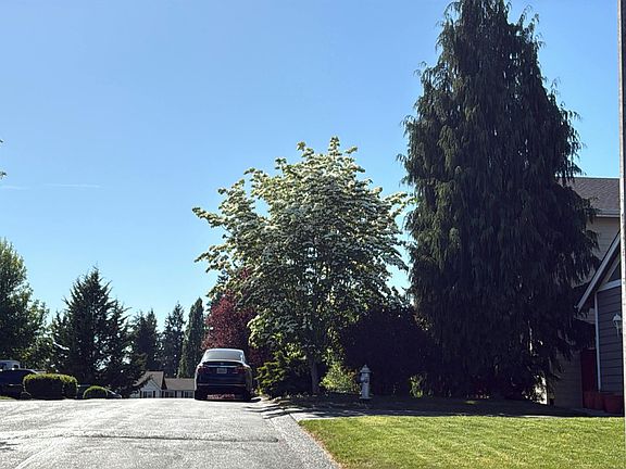 4th image of 11006 135th Street Ct E