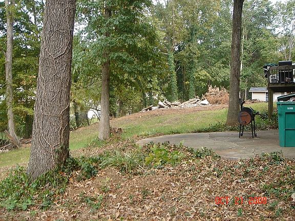 Rear Patio