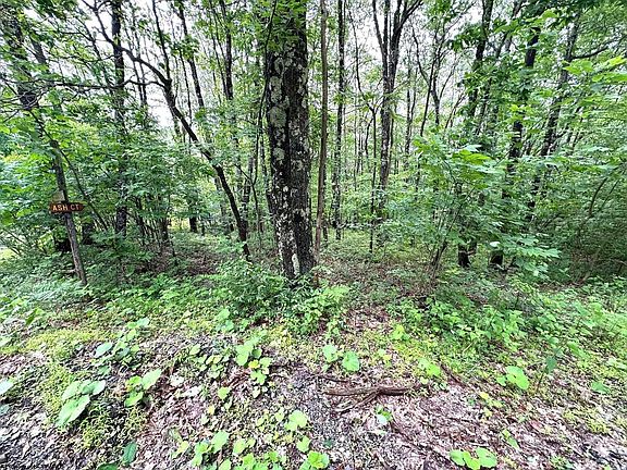 5th image of LOT 14 Ash Ct