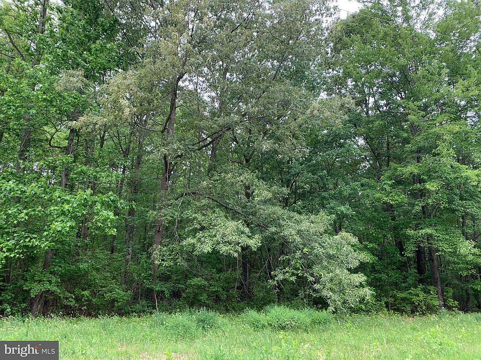 1st image of Black Bottom Rd