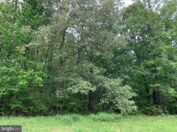 Black Bottom Rd, Galena, MD 21635