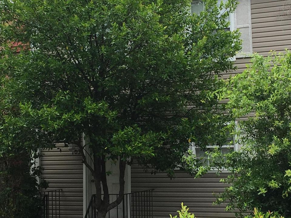 1st image of 103 Skinner Cir #2