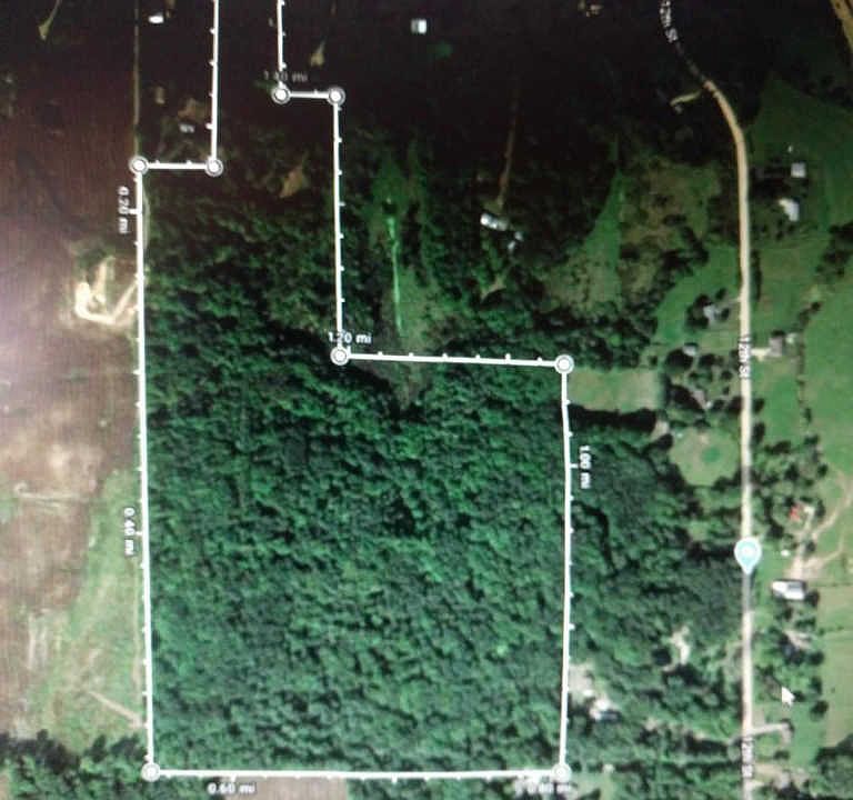 1st image of 1258 140th Ave